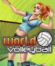 game pic for World Volleyball